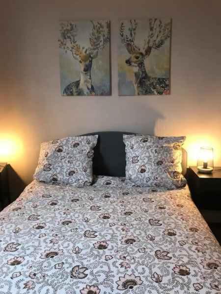 Bel Appartement Hypercentre T3/70 M2 Clermont-Ferrand Luaran gambar